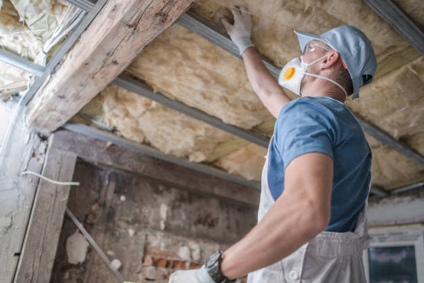 Best Insulation Contractor Near Me  in Garland, TX