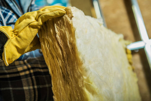 Best Professional Insulation Contractor  in Garland, TX