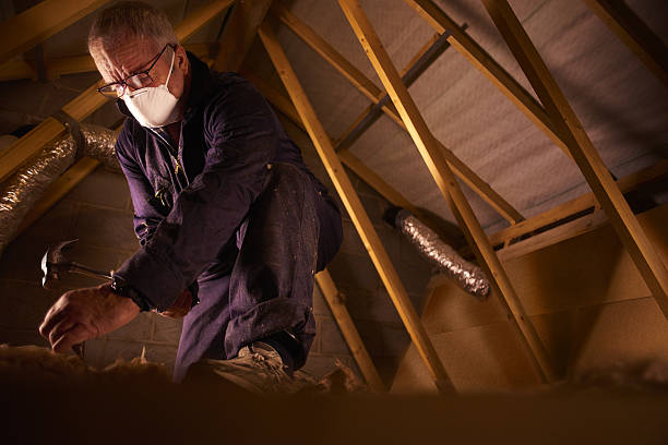 Best Energy-efficient Insulation  in Garland, TX